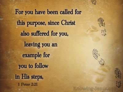 1 Peter 2:21 You Have Been Called For This Purpose (brown)